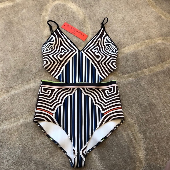 Clover Canyon Striped Labyrinth Cut Out Swimsuit - Picture 3 of 7